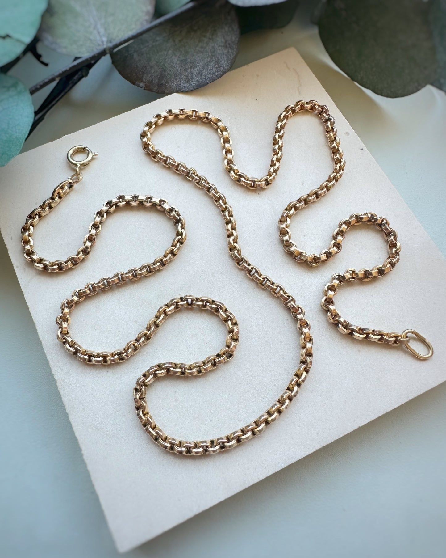 Antique Chunky Rolo Link (23")