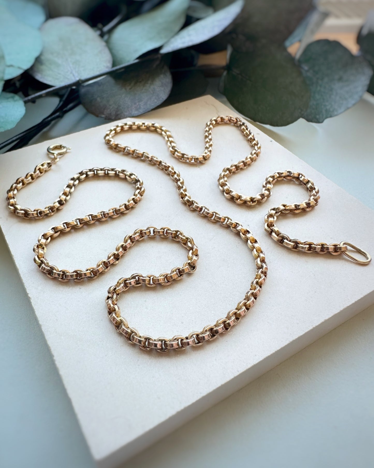 Antique Chunky Rolo Link (23")