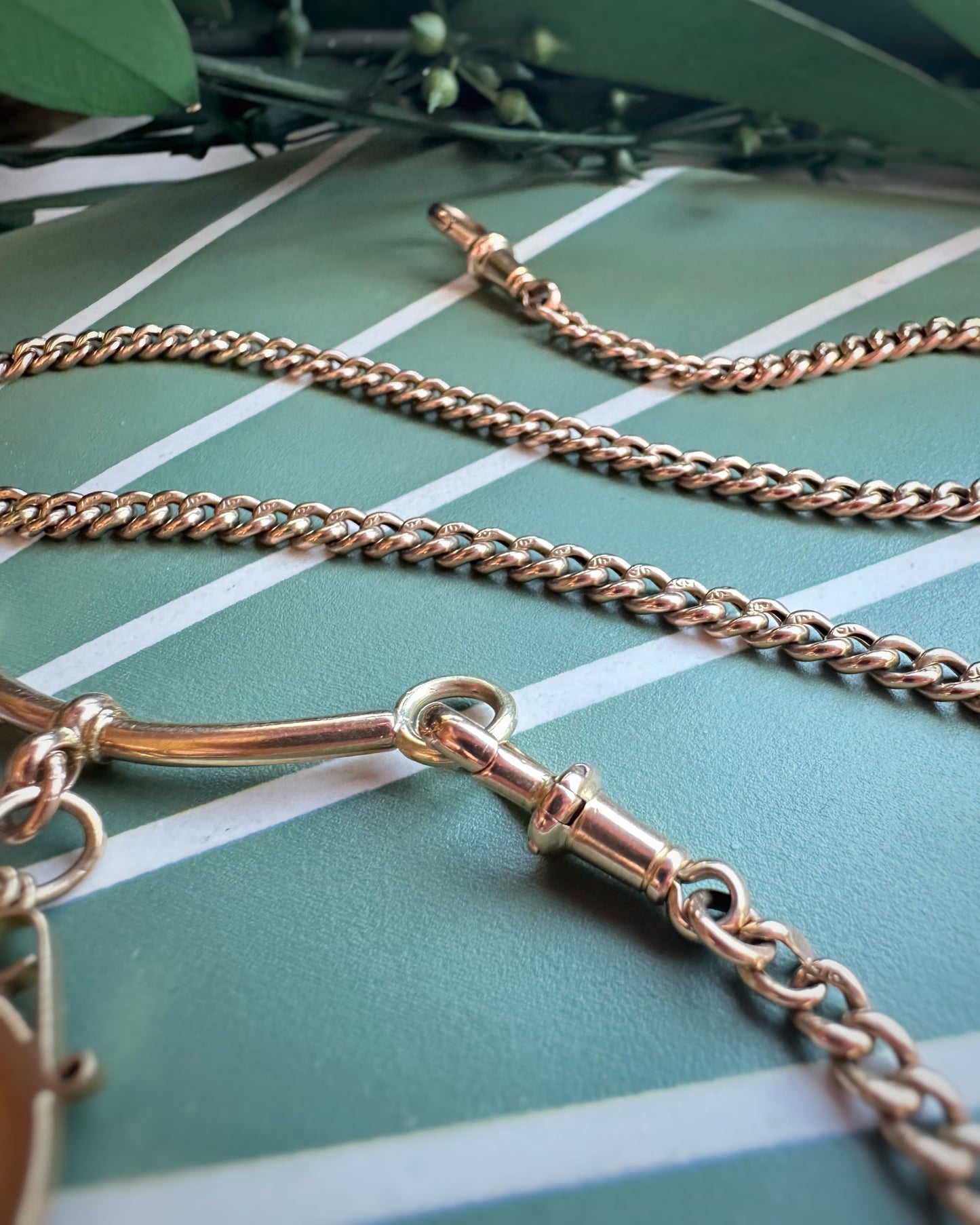 Antique Hollow Curb Chain with T-Bar Conversion Extender and Sovereign (16")