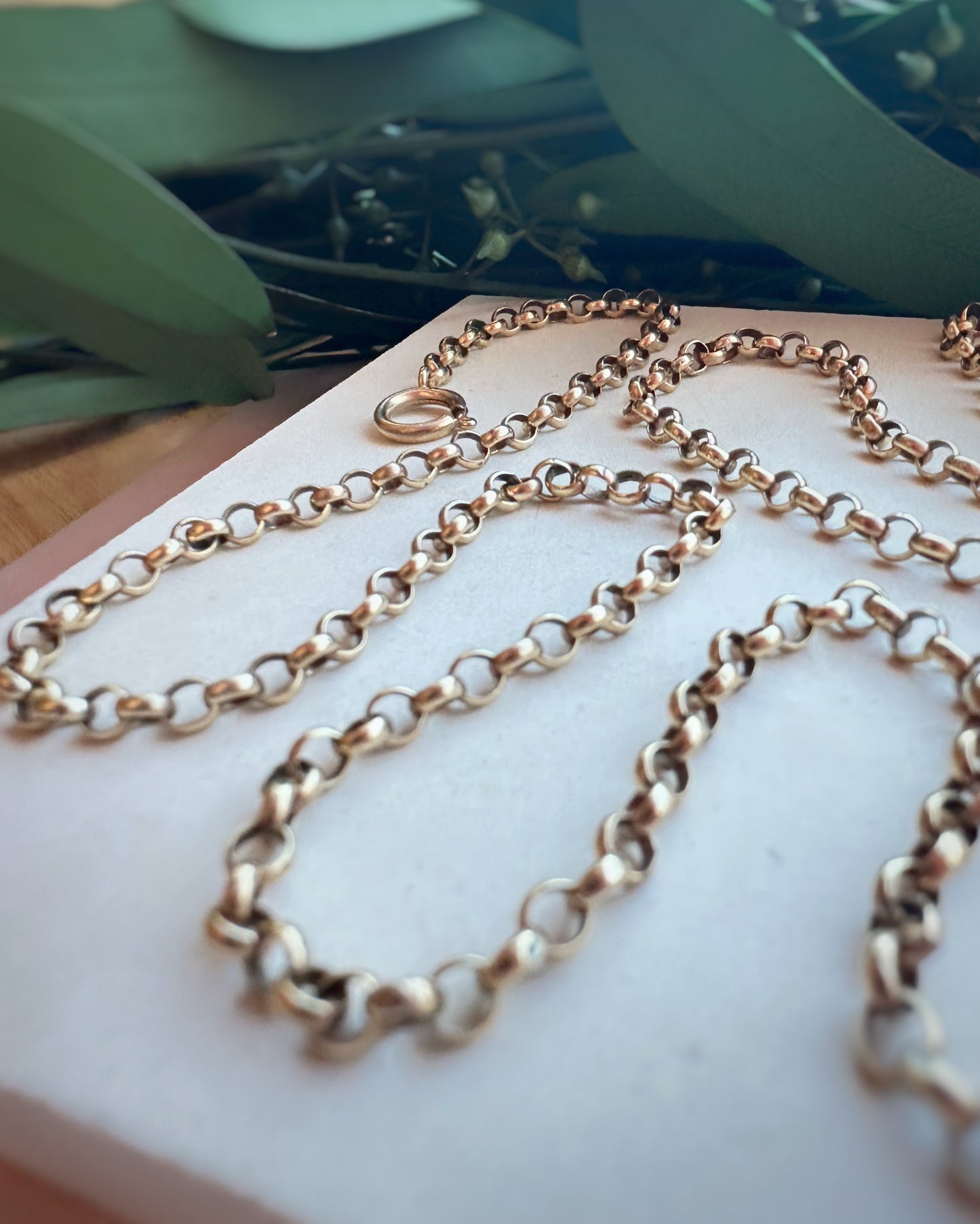 Vintage Chocolate-Undertones Belcher with Chunky Clasp (24")