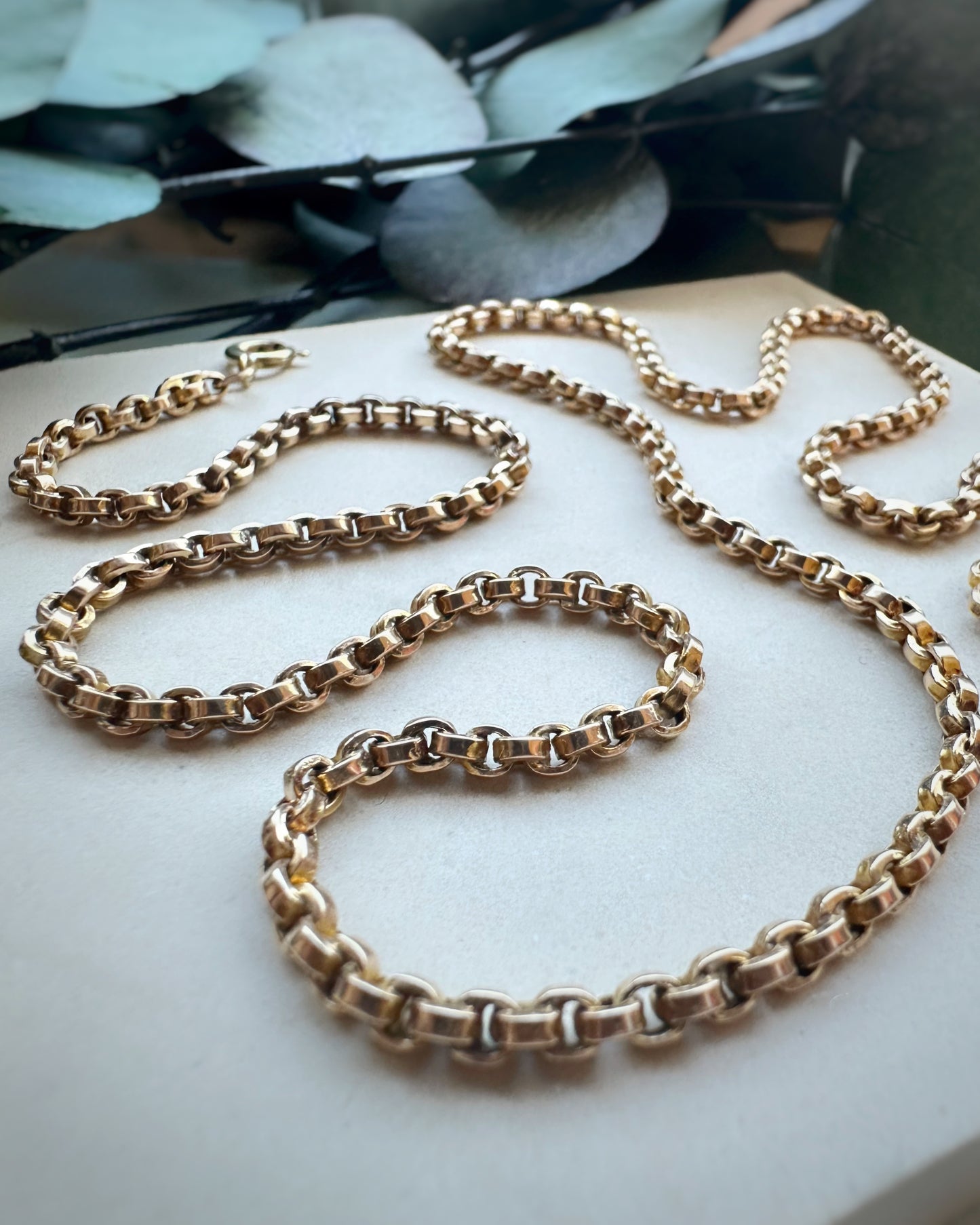 Antique Chunky Rolo Link (23")
