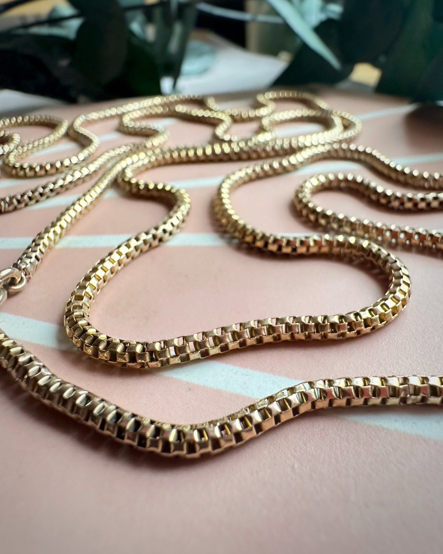 Exceptional Antique Snake Skin Long Guard (47")