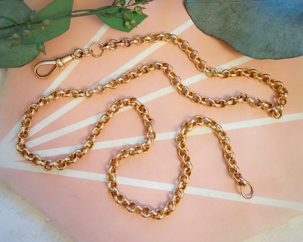 Antique Puffy Belcher Chain with Oversized Dog Clip (22")