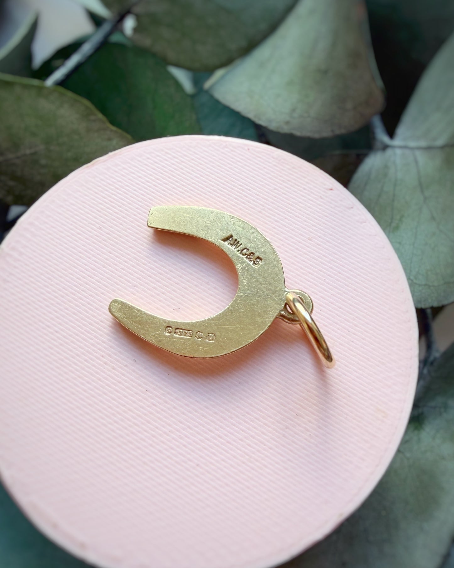 Vintage Lucky Horseshoe Charm
