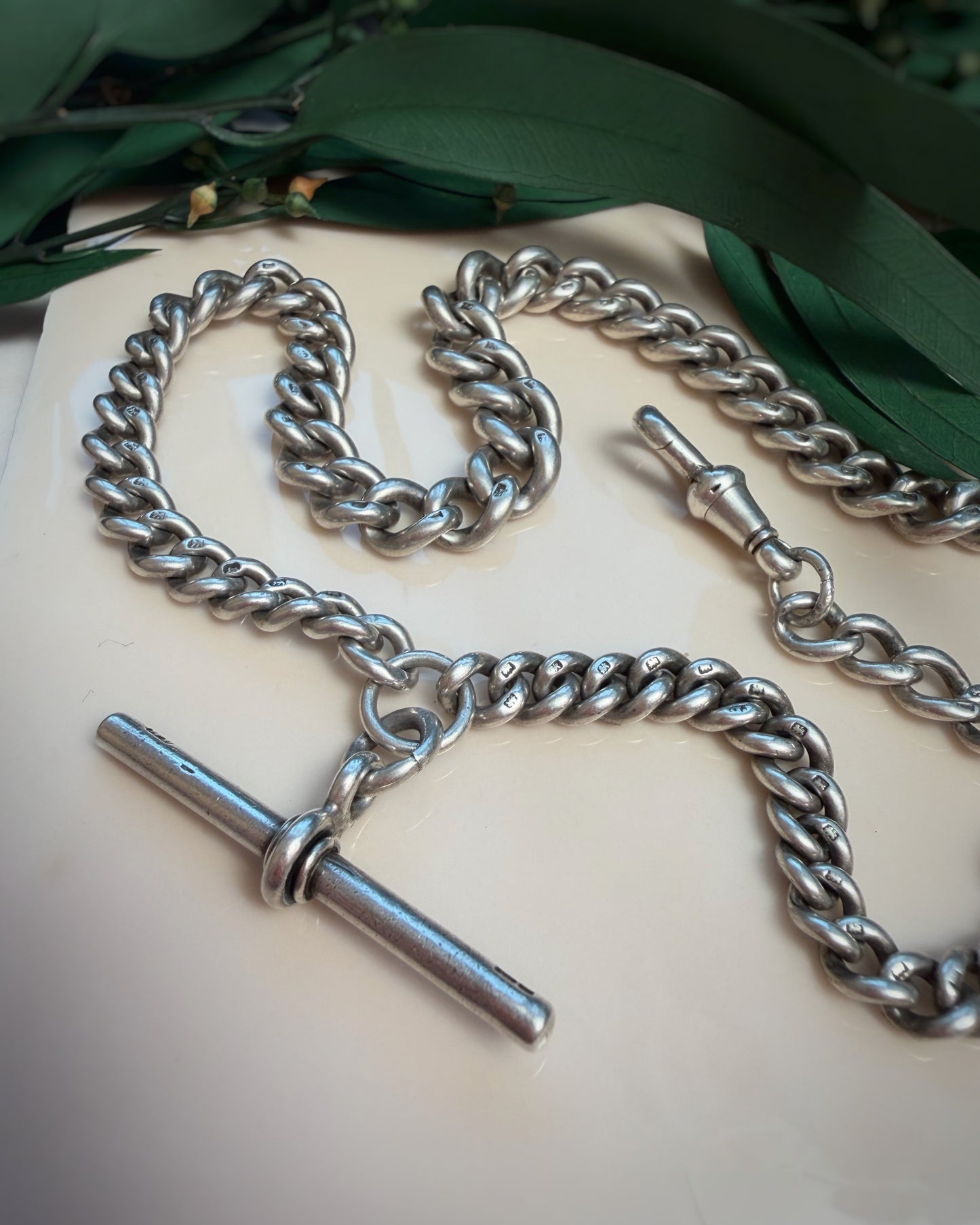 Antique 1895 Chunky Graduated Albert (16")