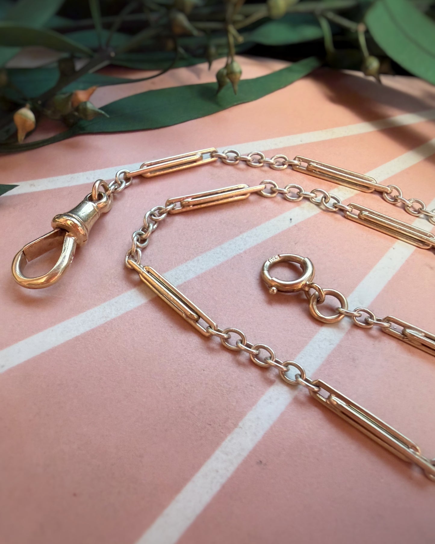 Vintage Dog & Bolt Double Trombone Bi-Colour Beauty (15")